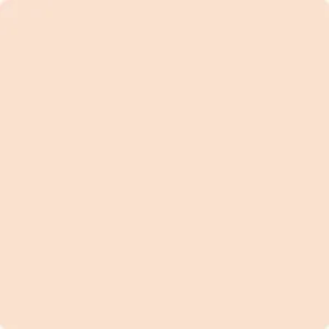 064 Nautilus Shell