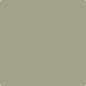 1503 Texas Sage