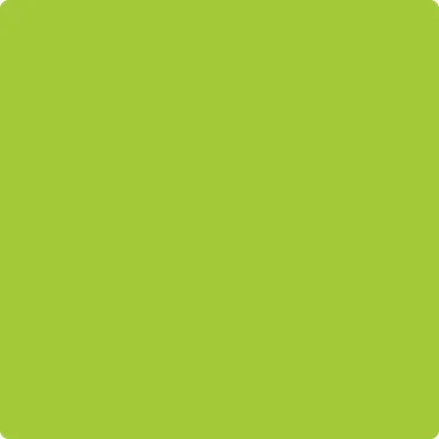 2026-20 Margarita