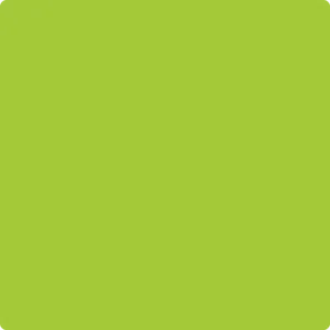 2026-20 Margarita