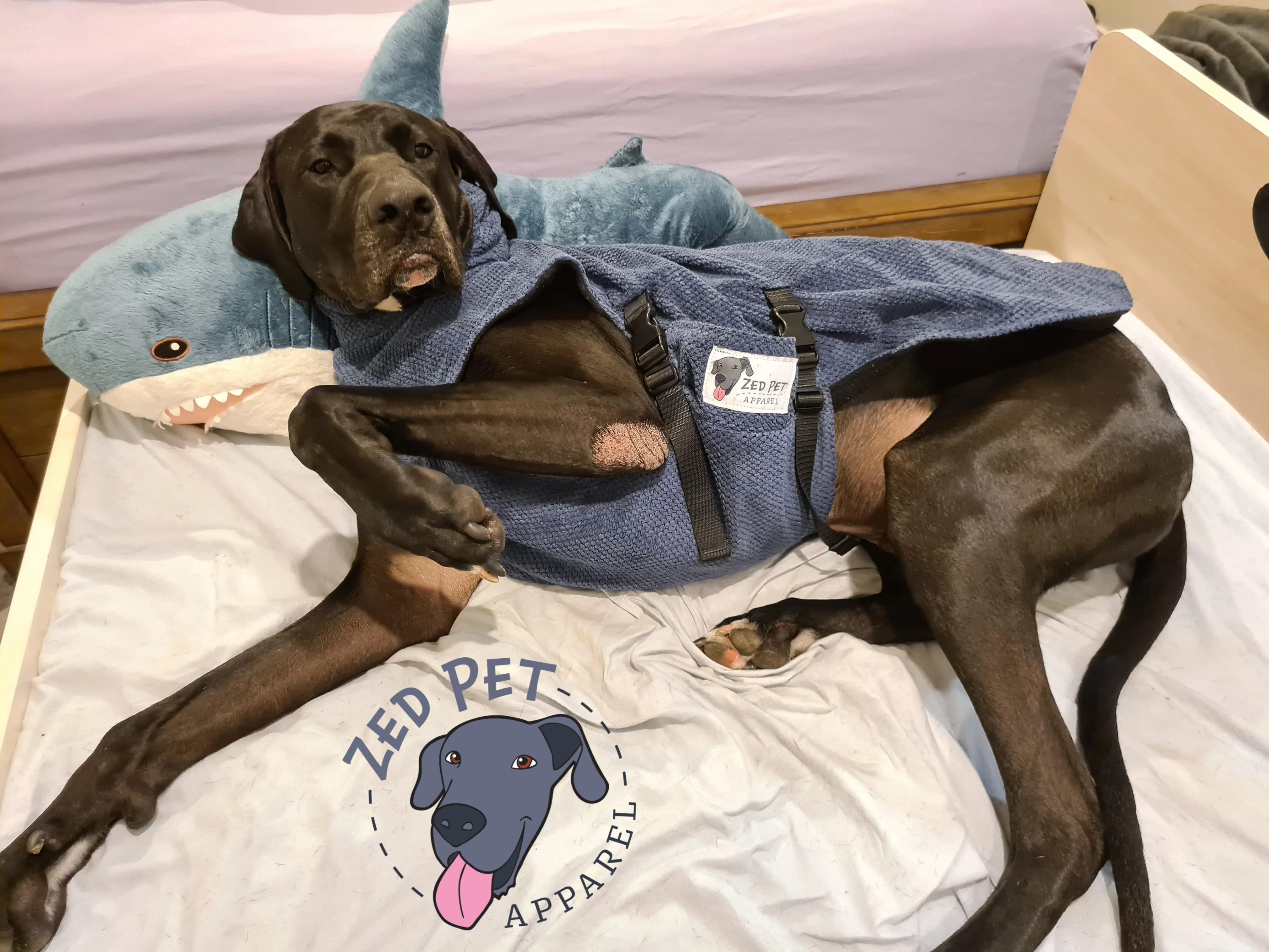 Dog Overcoat - XXL (80 & 85cm)