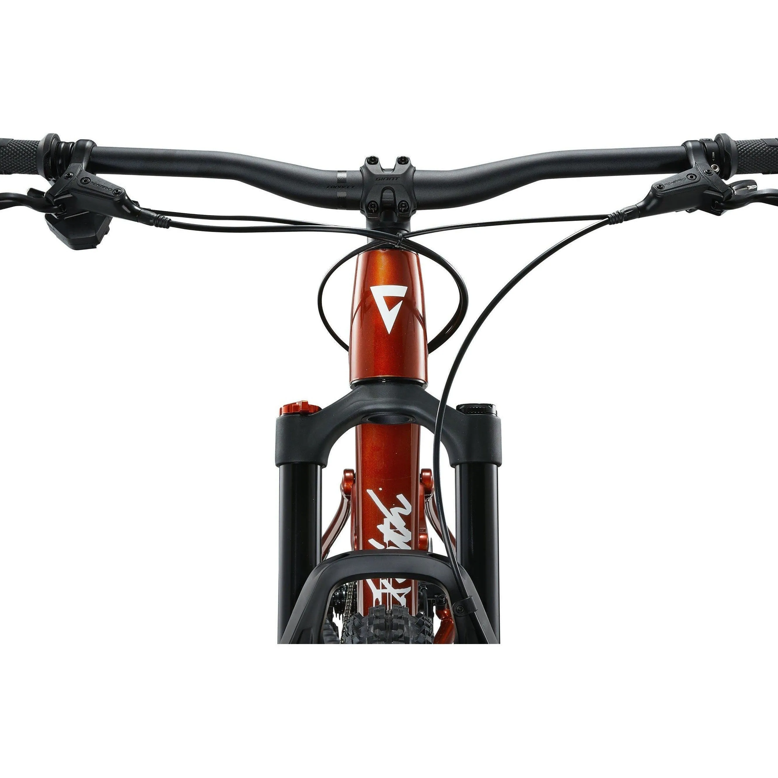 Giant 2025 Faith Mountain Bike