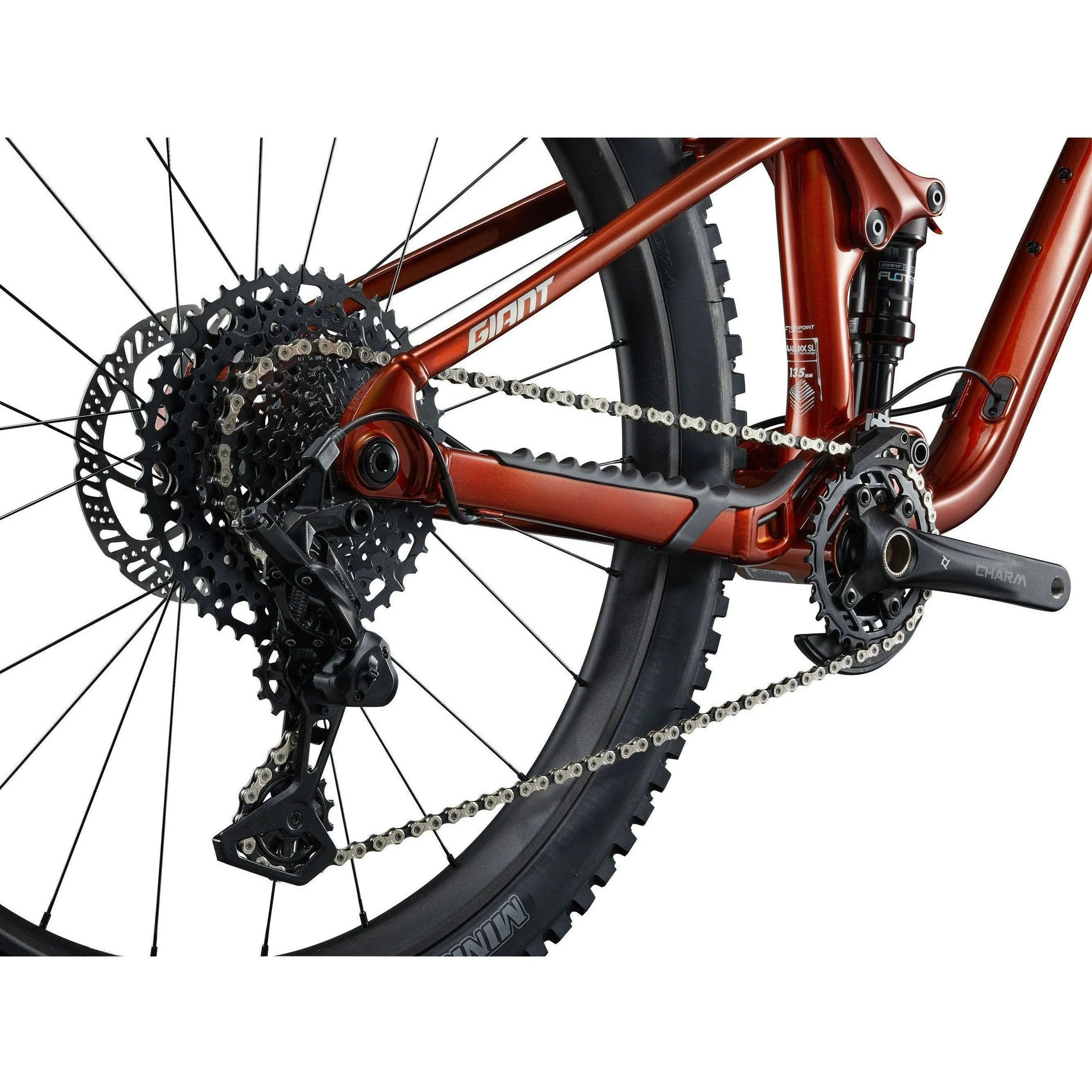 Giant 2025 Faith Mountain Bike