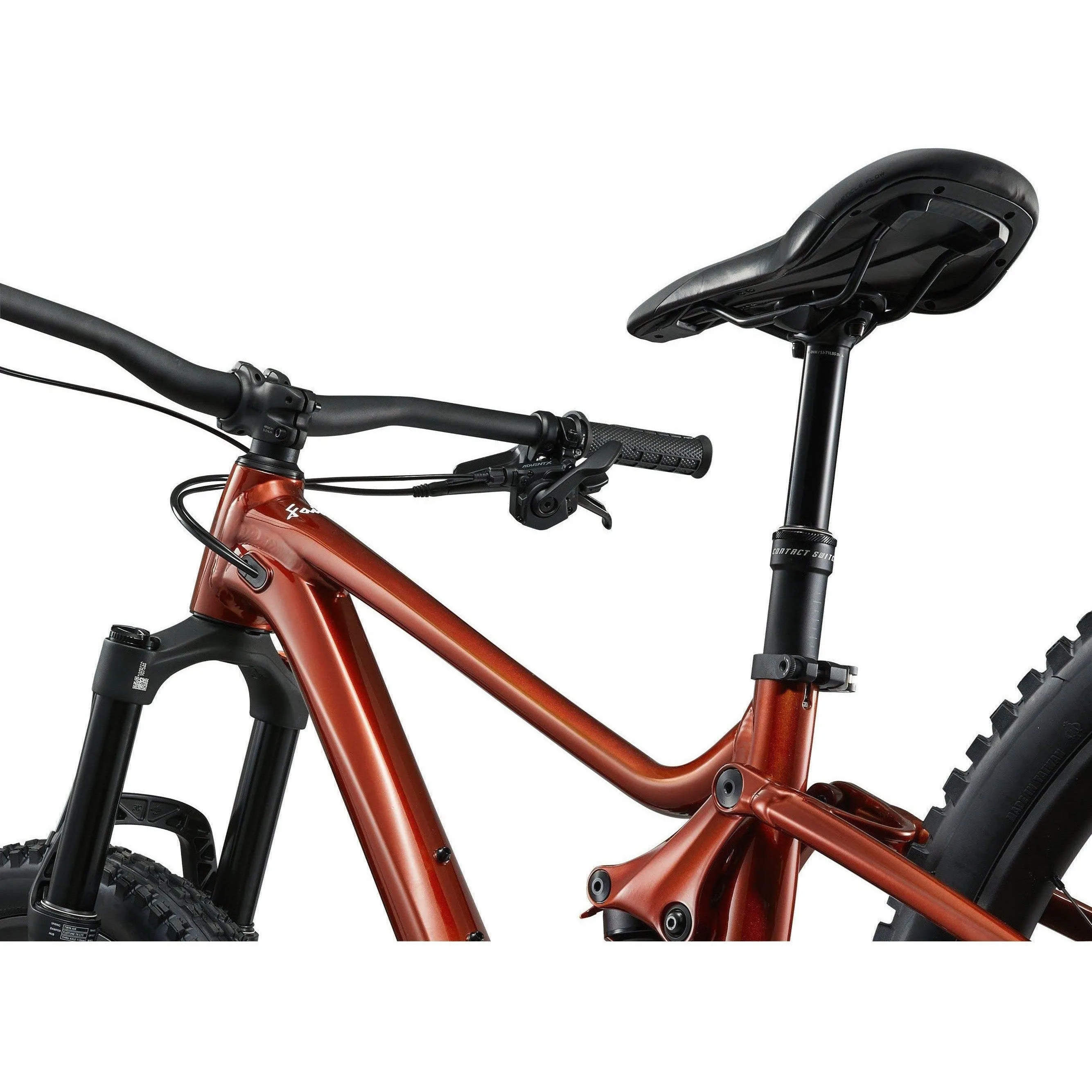 Giant 2025 Faith Mountain Bike