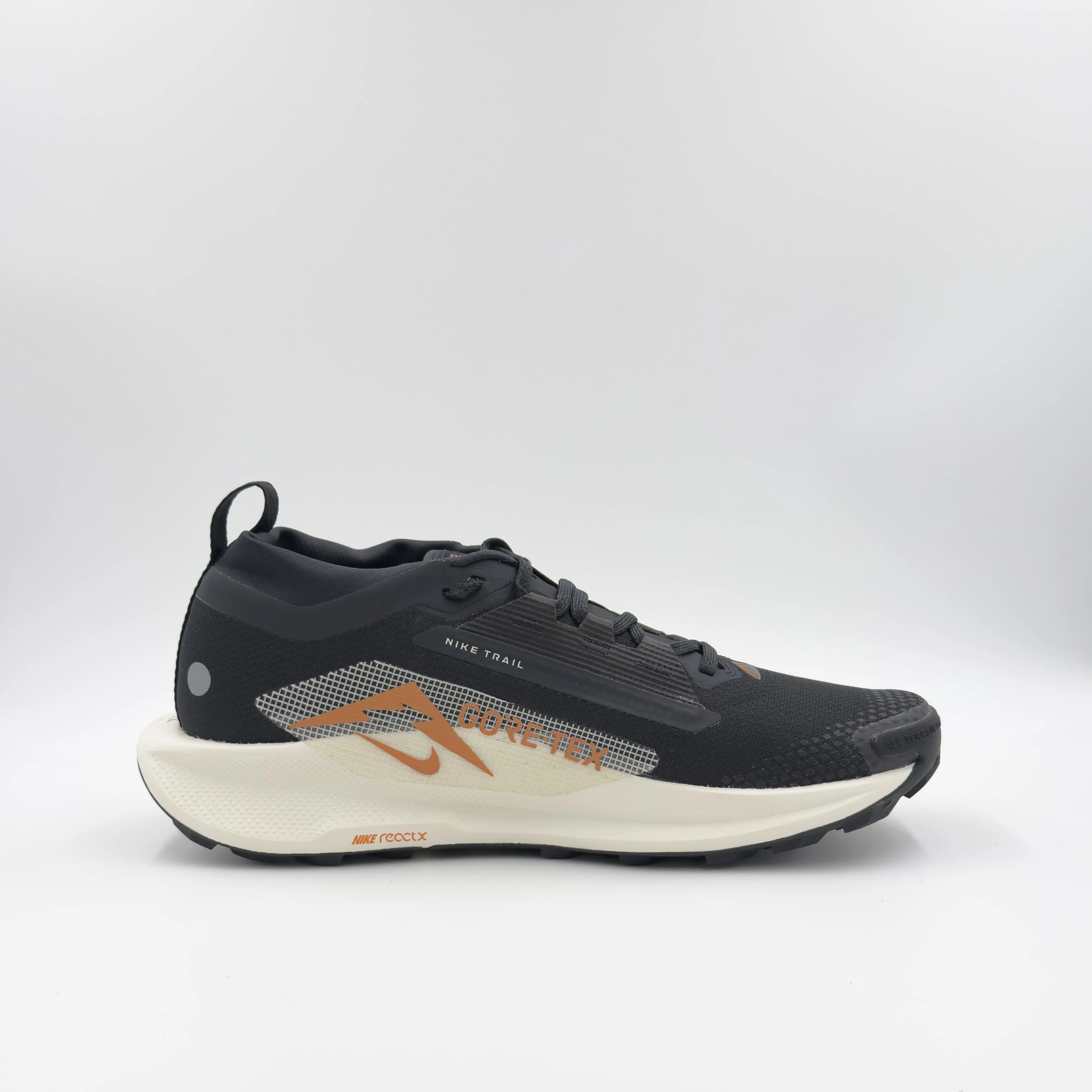 Men's Pegasus Trail 5 GTX
