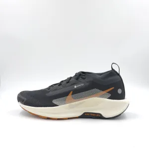 Men's Pegasus Trail 5 GTX
