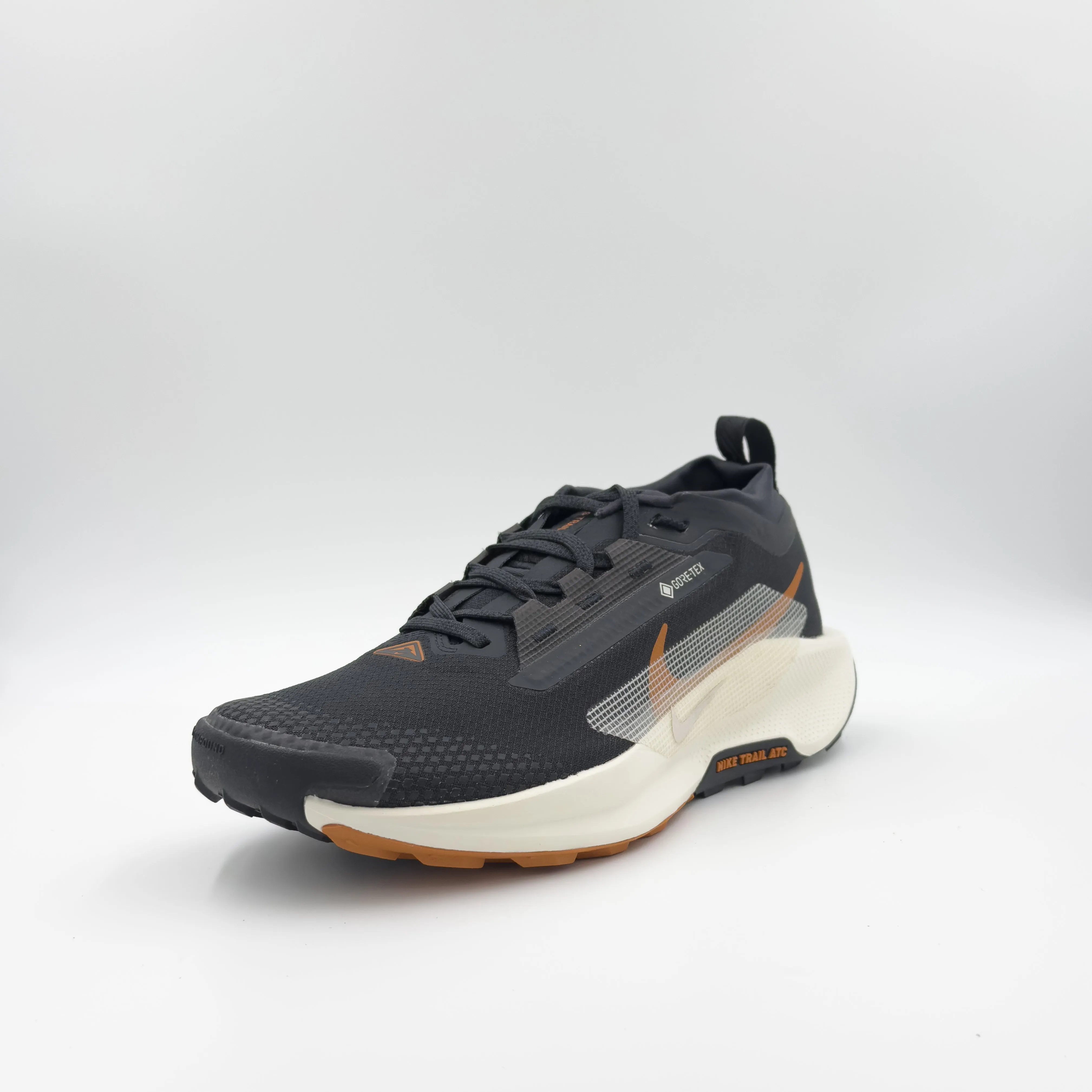 Men's Pegasus Trail 5 GTX