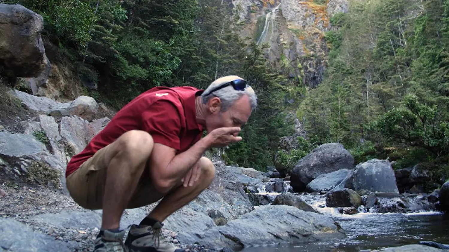 NordicTrack Commercial Series   30-Day iFit Membership