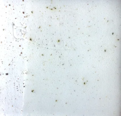 Northcote Pottery Underglaze Speckled White 250ml