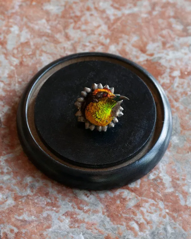 Rare Victorian Taxidermy Hummingbird Brooch
