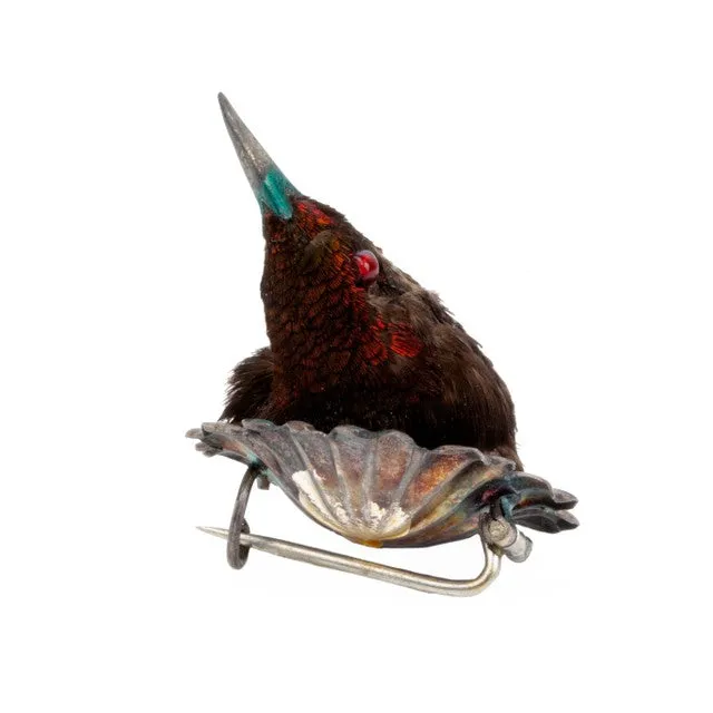 Rare Victorian Taxidermy Hummingbird Brooch