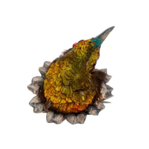 Rare Victorian Taxidermy Hummingbird Brooch