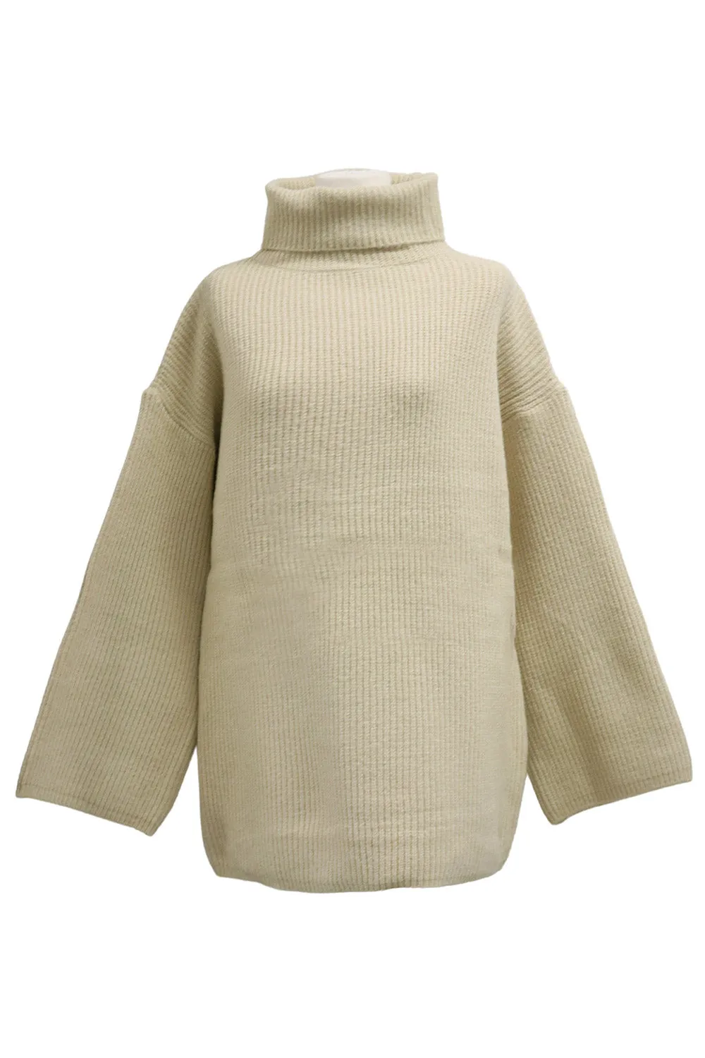 Serena Turtleneck Oversized Sweater