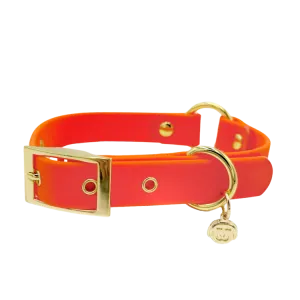 Sunburst - Splashproof Dog Collar