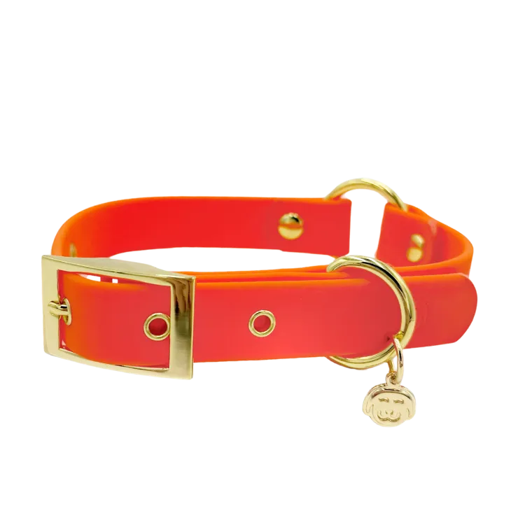 Sunburst - Splashproof Dog Collar