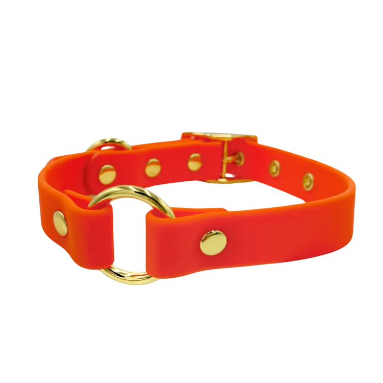Sunburst - Splashproof Dog Collar