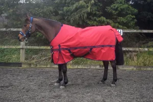 Whitaker Turnout Rug Sykes 200 Gm