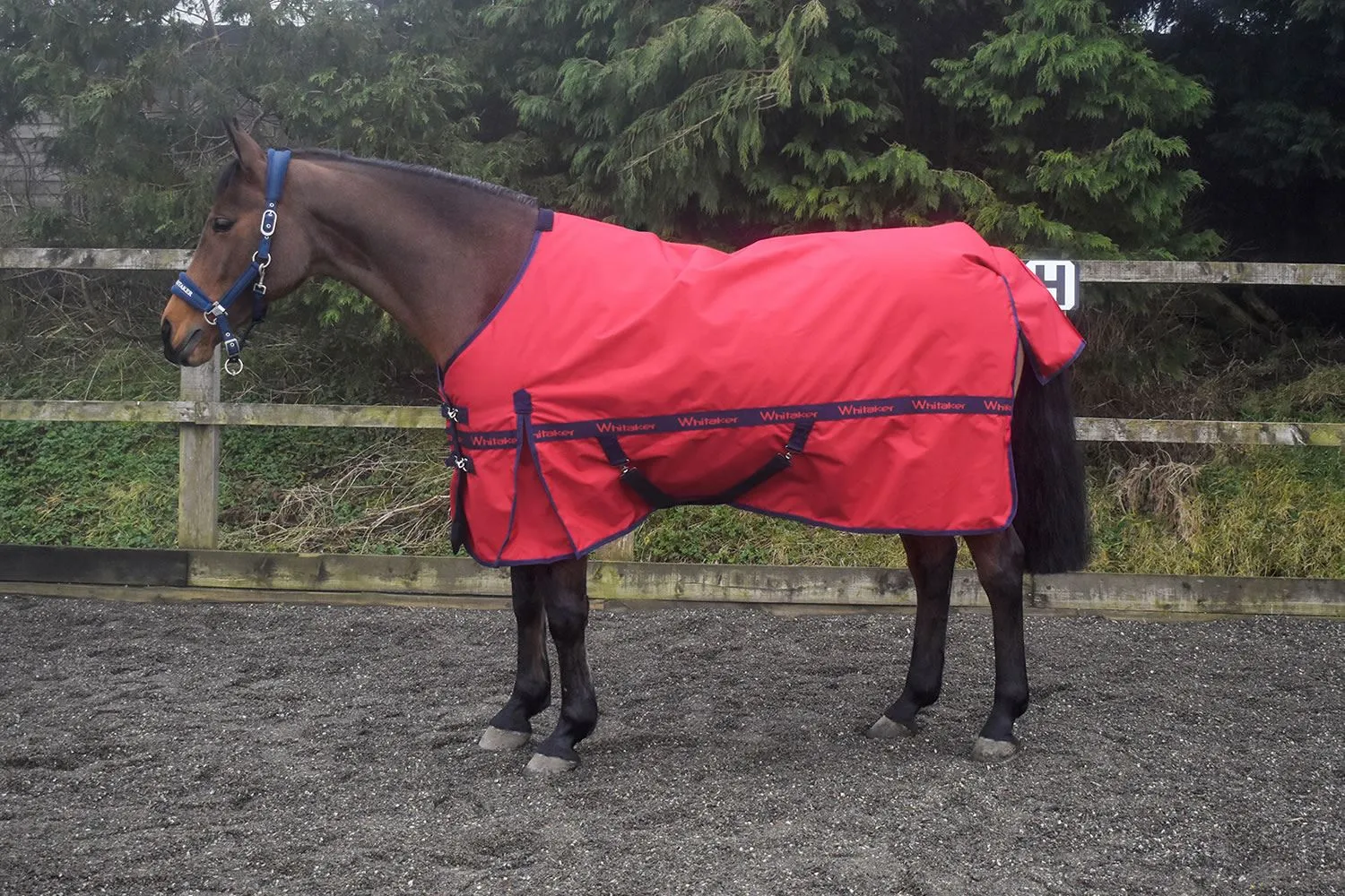 Whitaker Turnout Rug Sykes 200 Gm