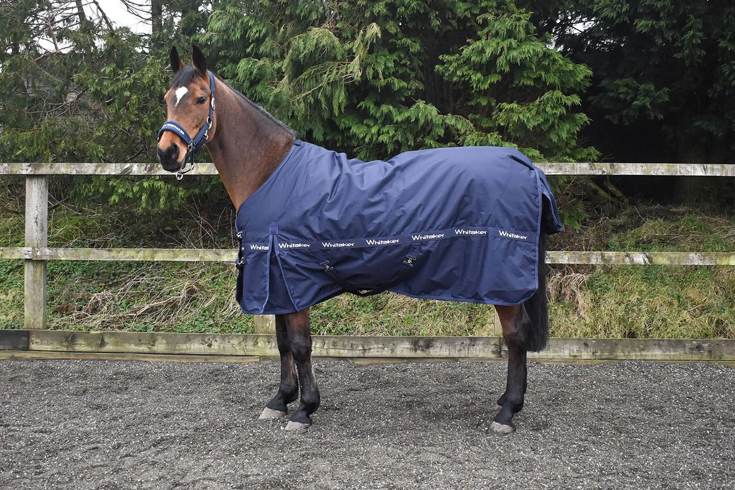 Whitaker Turnout Rug Sykes 200 Gm