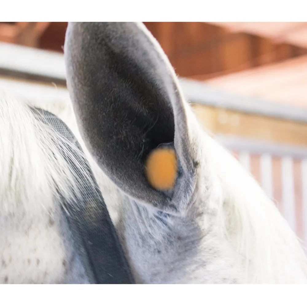 Y.J TAILS Horse Ear Plugs Equine Earplugs