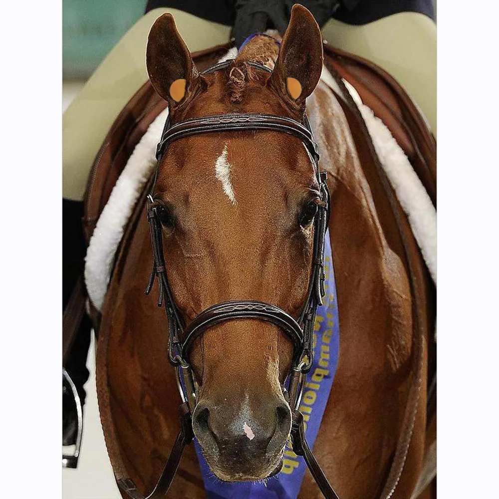 Y.J TAILS Horse Ear Plugs Equine Earplugs